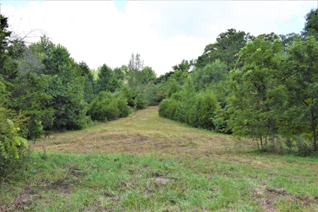 Home Sites, Recreation, Hunting, Creeks, Springs, Private - image 16
