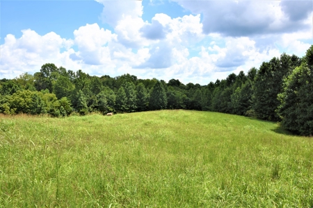 Home Sites, Recreation, Hunting, Creeks, Springs, Private - image 19