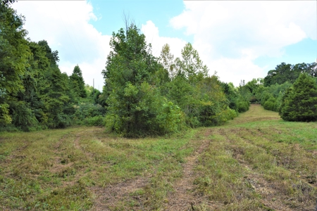 Home Sites, Recreation, Hunting, Creeks, Springs, Private - image 17