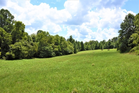 Home Sites, Recreation, Hunting, Creeks, Springs, Private - image 13