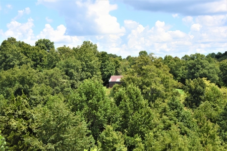 Home Sites, Recreation, Hunting, Creeks, Springs, Private - image 21