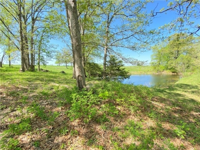 37+/- Acres, Multi-use Property located in Caldwell County - image 35