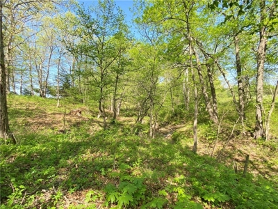 37+/- Acres, Multi-use Property located in Caldwell County - image 38