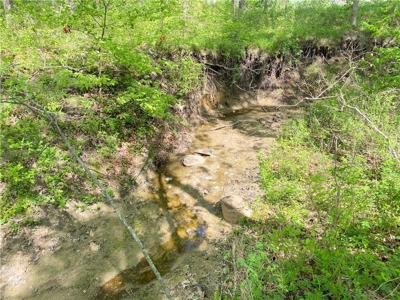 37+/- Acres, Multi-use Property located in Caldwell County - image 34