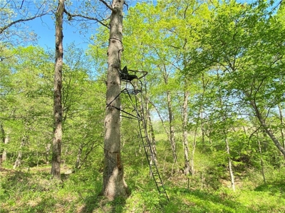 37+/- Acres, Multi-use Property located in Caldwell County - image 36