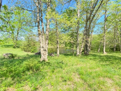 37+/- Acres, Multi-use Property located in Caldwell County - image 33