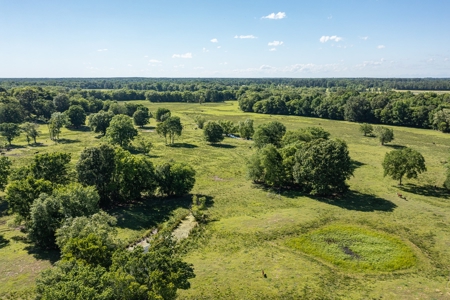 Northeast Texas Ranch For Sale In Bowie County Texas - image 7