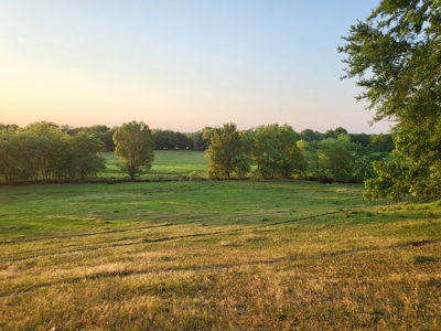 Northeast Texas Ranch For Sale In Bowie County Texas - image 49