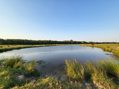 Northeast Texas Ranch For Sale In Bowie County Texas - image 46