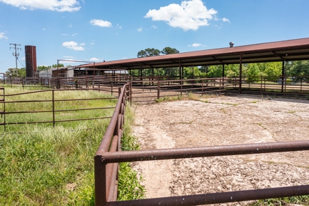Northeast Texas Ranch For Sale In Bowie County Texas - image 20