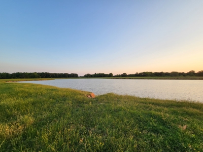 Northeast Texas Ranch For Sale In Bowie County Texas - image 47