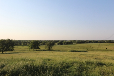 Northeast Texas Ranch For Sale In Bowie County Texas - image 38