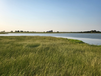 Northeast Texas Ranch For Sale In Bowie County Texas - image 43