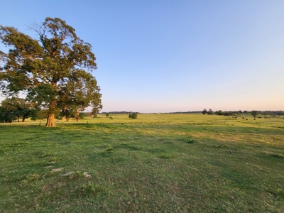 Northeast Texas Ranch For Sale In Bowie County Texas - image 37