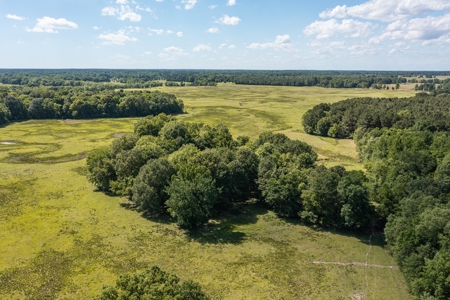 Northeast Texas Ranch For Sale In Bowie County Texas - image 11