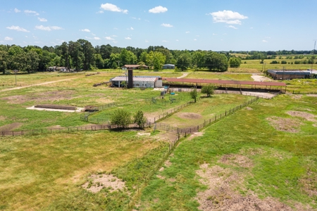 Northeast Texas Ranch For Sale In Bowie County Texas - image 18