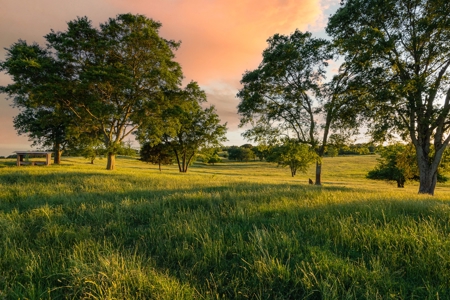 Northeast Texas Ranch For Sale In Bowie County Texas - image 33