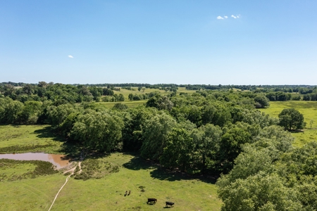 Northeast Texas Ranch For Sale In Bowie County Texas - image 29