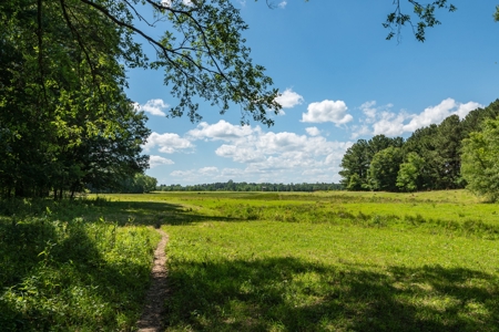 Northeast Texas Ranch For Sale In Bowie County Texas - image 34