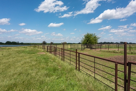 Northeast Texas Ranch For Sale In Bowie County Texas - image 21