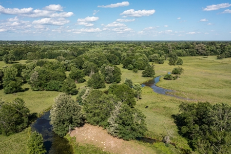 Northeast Texas Ranch For Sale In Bowie County Texas - image 31