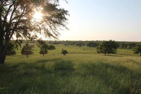 Northeast Texas Ranch For Sale In Bowie County Texas - image 48