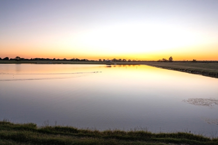 Northeast Texas Ranch For Sale In Bowie County Texas - image 10