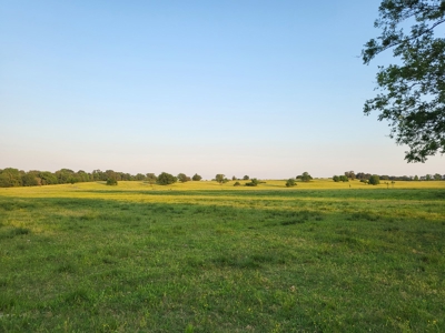Northeast Texas Ranch For Sale In Bowie County Texas - image 36