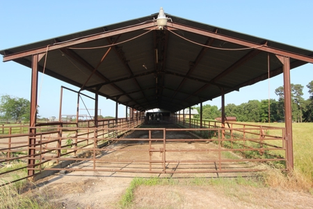 Northeast Texas Ranch For Sale In Bowie County Texas - image 41