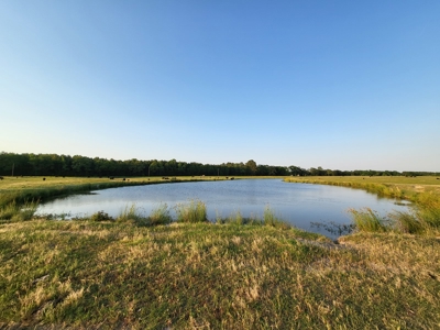 Northeast Texas Ranch For Sale In Bowie County Texas - image 45