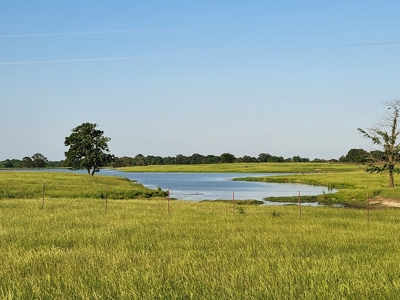Northeast Texas Ranch For Sale In Bowie County Texas - image 44