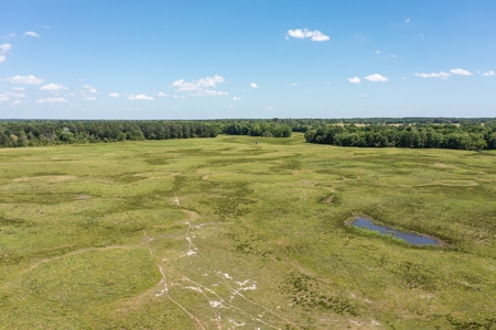 Northeast Texas Ranch For Sale In Bowie County Texas - image 28