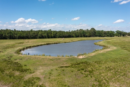 Northeast Texas Ranch For Sale In Bowie County Texas - image 25