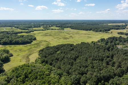Northeast Texas Ranch For Sale In Bowie County Texas - image 9