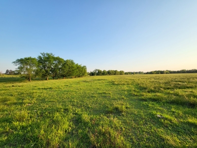 Northeast Texas Ranch For Sale In Bowie County Texas - image 35