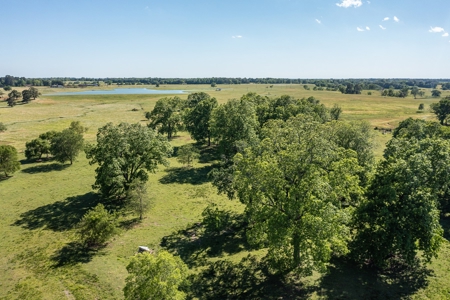 Northeast Texas Ranch For Sale In Bowie County Texas - image 32