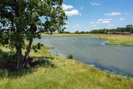 Northeast Texas Ranch For Sale In Bowie County Texas - image 16