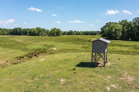 Northeast Texas Ranch For Sale In Bowie County Texas - image 26