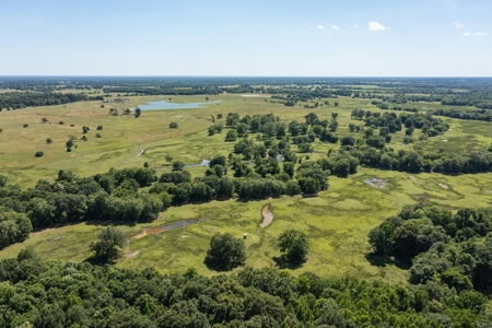 Northeast Texas Ranch For Sale In Bowie County Texas - image 4