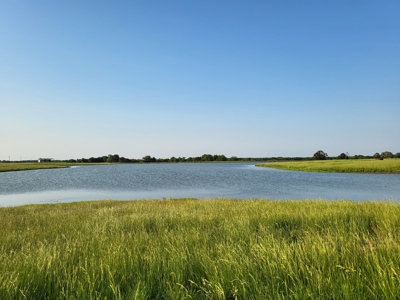 Northeast Texas Ranch For Sale In Bowie County Texas - image 42