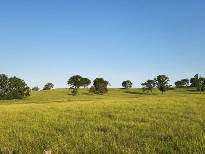 Northeast Texas Ranch For Sale In Bowie County Texas - image 40