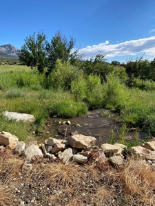 Lone Cabin Ranch for Sale — Colorado Mountain Ranch For Sale - image 38