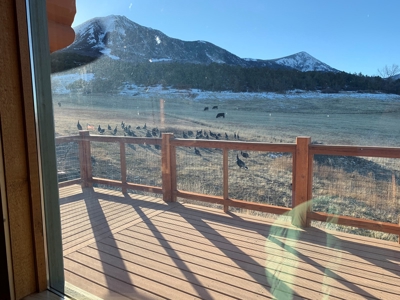 Lone Cabin Ranch for Sale — Colorado Mountain Ranch For Sale - image 32