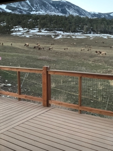Lone Cabin Ranch for Sale — Colorado Mountain Ranch For Sale - image 34