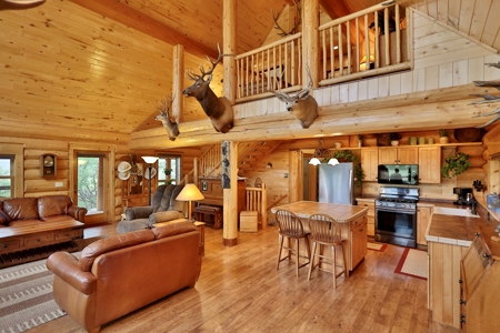 Lone Cabin Ranch for Sale — Colorado Mountain Ranch For Sale - image 5