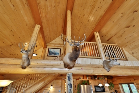 Lone Cabin Ranch for Sale — Colorado Mountain Ranch For Sale - image 14