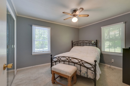 Farm for Sale in Lynnville, Tennessee - image 18