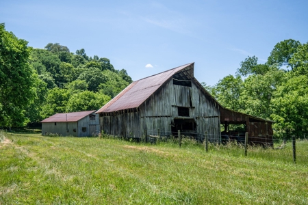 Farm for Sale in Lynnville, Tennessee - image 33