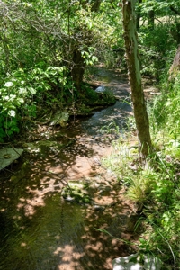 Farm for Sale in Lynnville, Tennessee - image 36