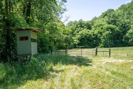 Farm for Sale in Lynnville, Tennessee - image 22